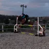 cheeky_chestnut