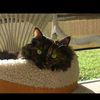 sallysshoe21