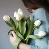 dyf8s2efo2wx