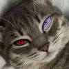 .tufzz