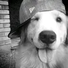 opssz_manuu