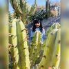 karencia420