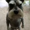 jihooazx