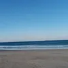 dihoalves7