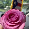 lisamelendez2022