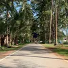 nurmanaffandii