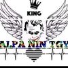 alphanintgy
