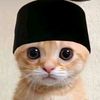 alfzz_1