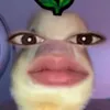 kxmbxrly_clyr