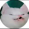 mrcapitan0