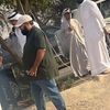 aliq813sal