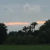 lgn3489151020