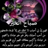 zohrarimi8