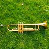 alessandrotrumpet02