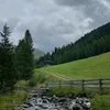 _muhammed_306