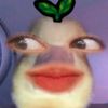 nanazzwaaaaa