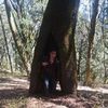 richard_zarazua
