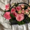 ma_11253
