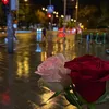 damas_770