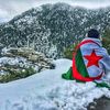 khaled.khaled.19