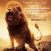 lionmaster770