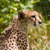 lem_169