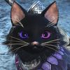 feline_frenzy20