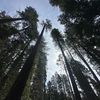 naturallyme_444