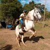 luizotavio8320