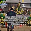 luis.luna597