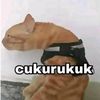 nbil_fth