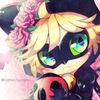indexneko