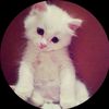 hizi_z