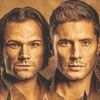 spnfan24
