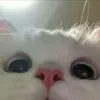 hughugee