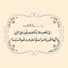 tota_5021144