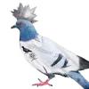 professor_pigeon