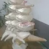 matinaabis