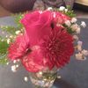 cynthiacochran12266