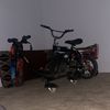 asdon55