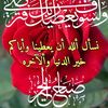 ammar_ali2013