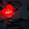 aisha4937
