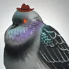 phyranart