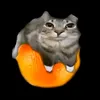 devxim_