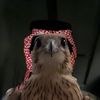 k8m_01