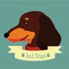 justdogsgrooming