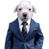 perritofacha28