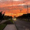 dayana.martinez298