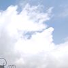 canttikkz