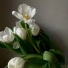lucyyoung5210